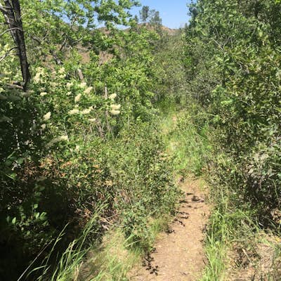 Hike Barnhardt Trail 