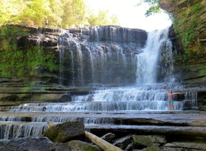 The Ultimate Road Trip Through Eastern Tennessee's Waterfall Haven