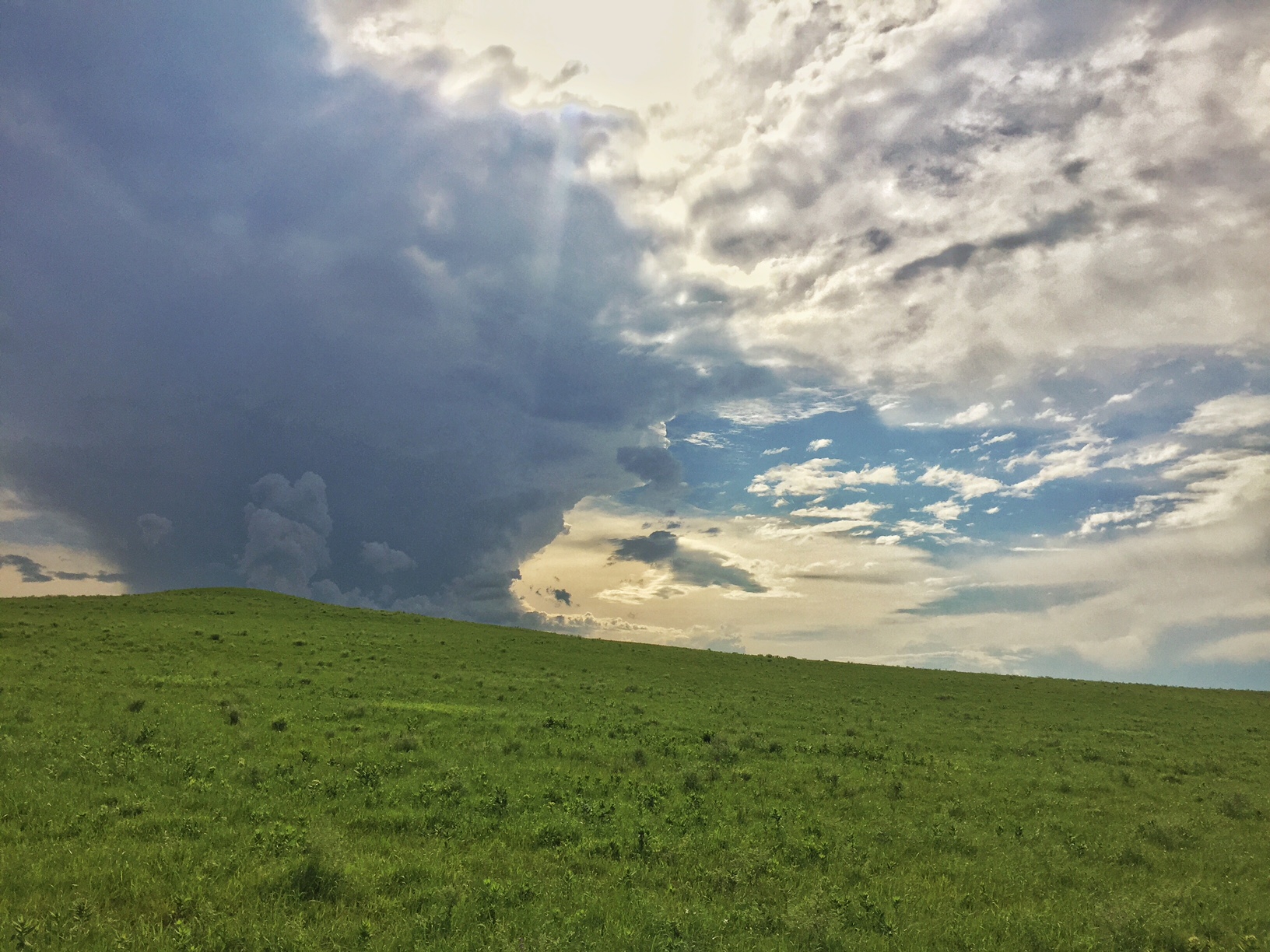 Hike through the Tallgrass Prairie Preserve