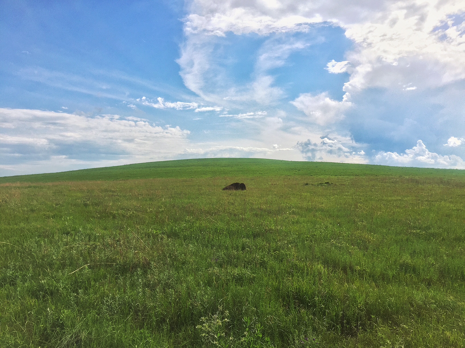 Hike through the Tallgrass Prairie Preserve