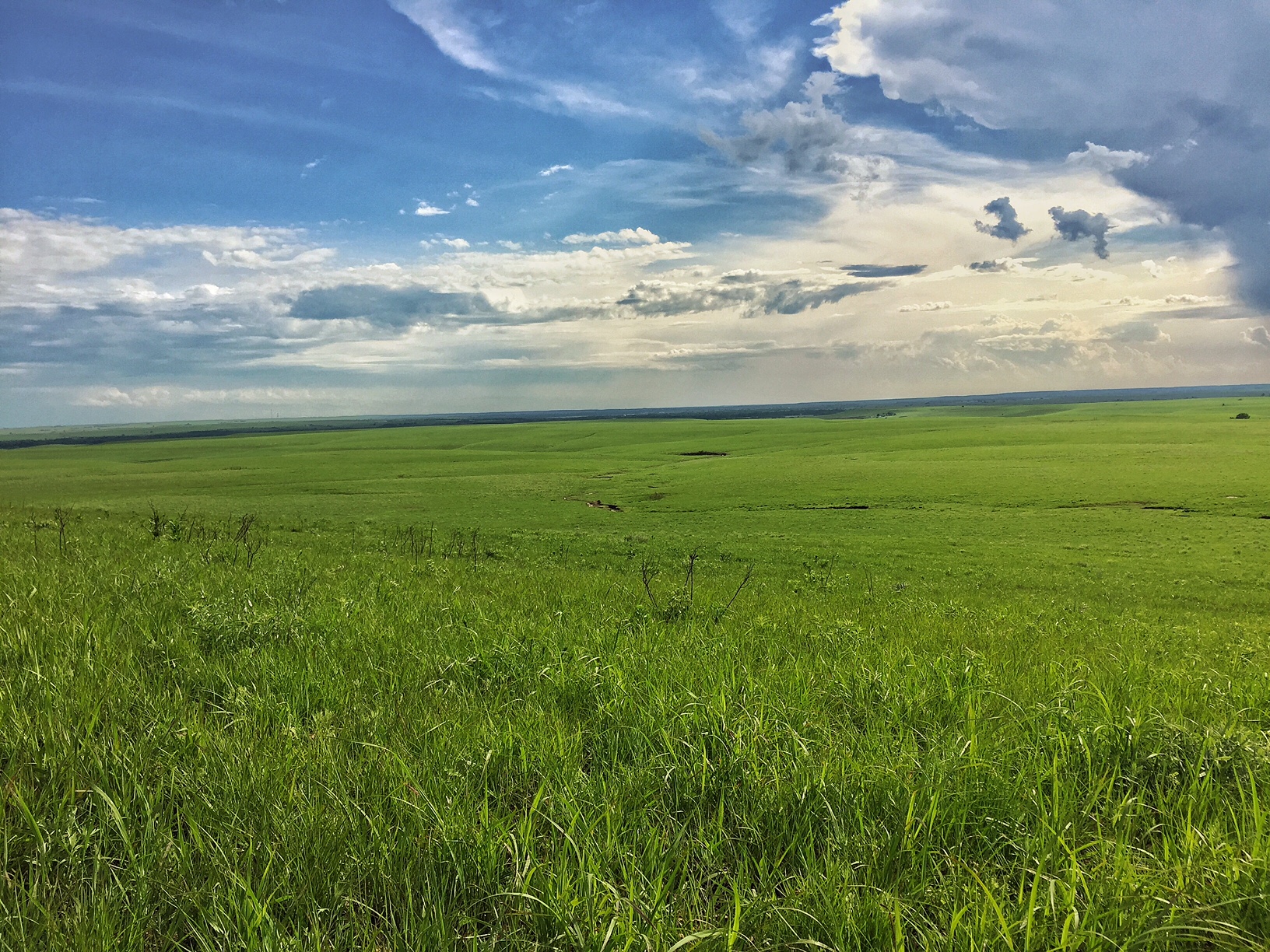 Hike through the Tallgrass Prairie Preserve