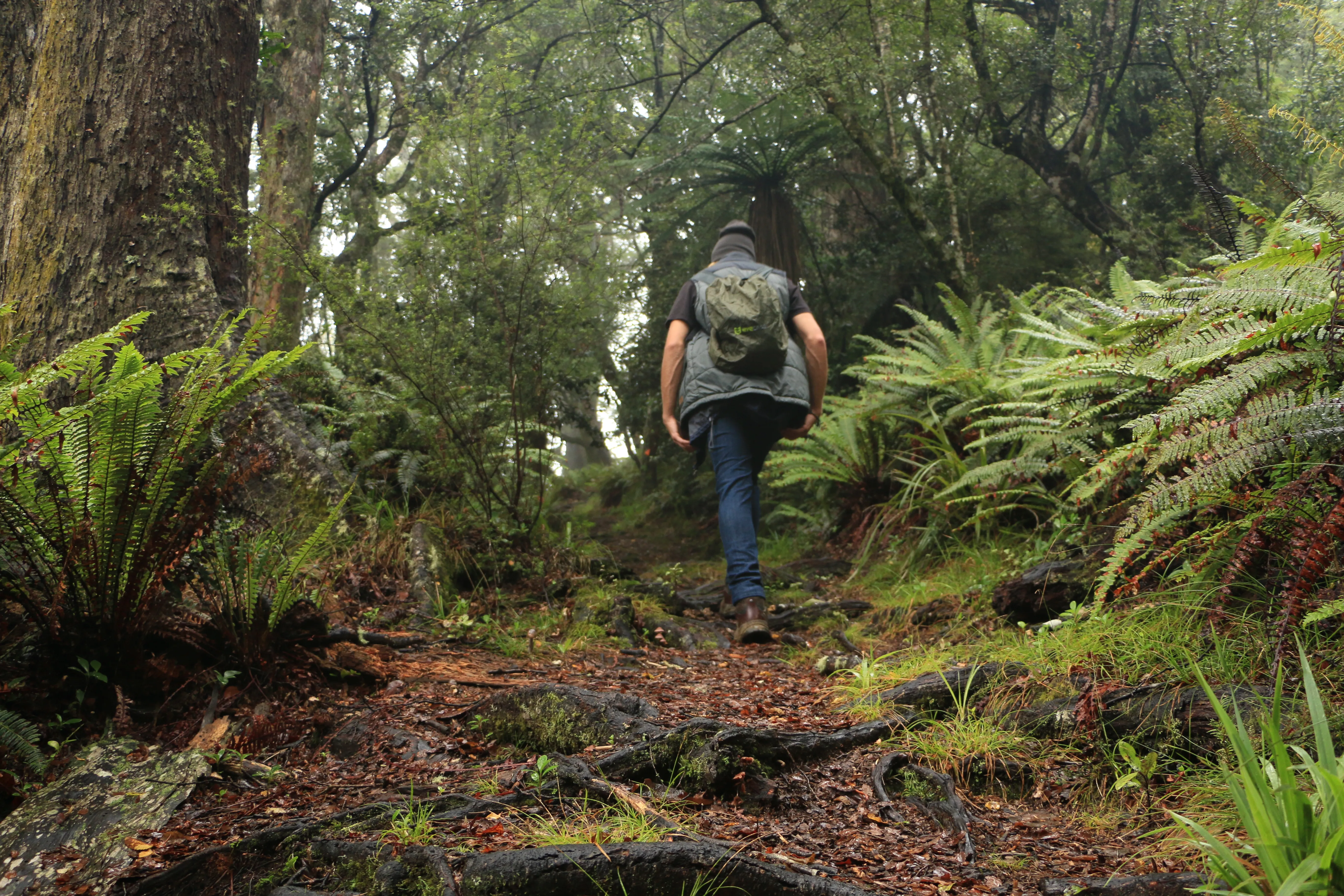 Hike Mt. Urchin Track