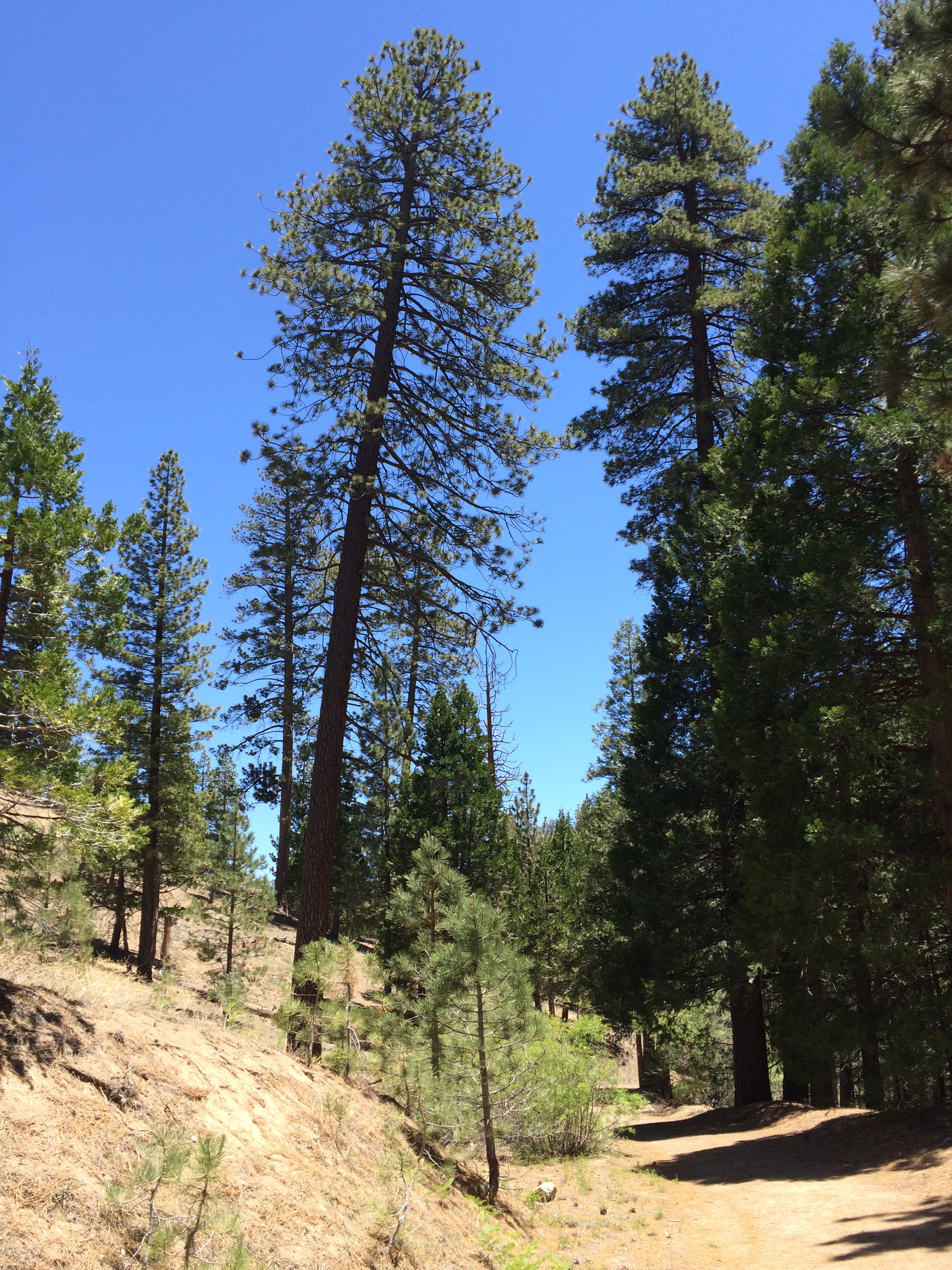 Cooper Canyon Trail Camp