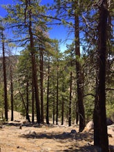 Hike to the Cooper Canyon Trail Camp