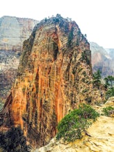 How To Avoid The Crowds At Zion National Park