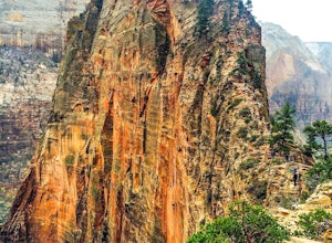 How To Avoid The Crowds At Zion National Park