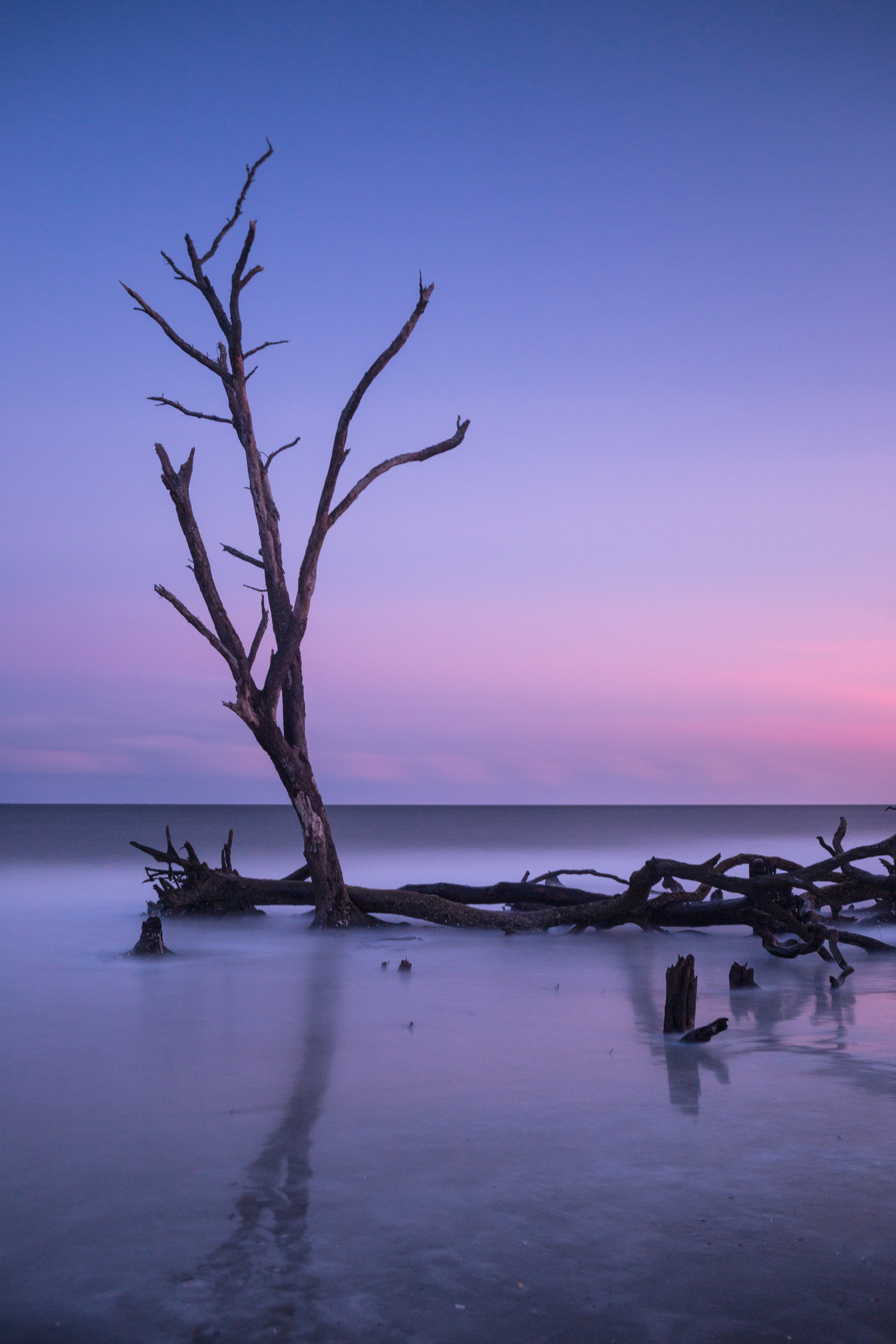 Boneyard Beach 