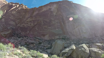 See the Petroglyphs at Capitol Reef