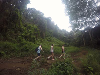 Hike the Maunaiwili Falls Trail