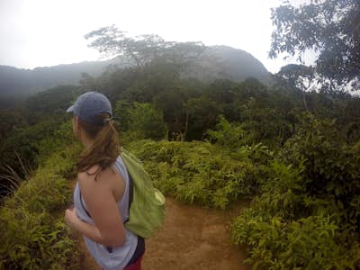Hike the Maunaiwili Falls Trail