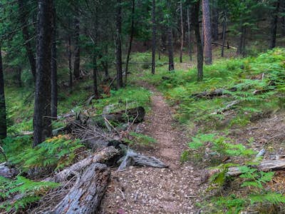 Hike the Houston Brothers Trail