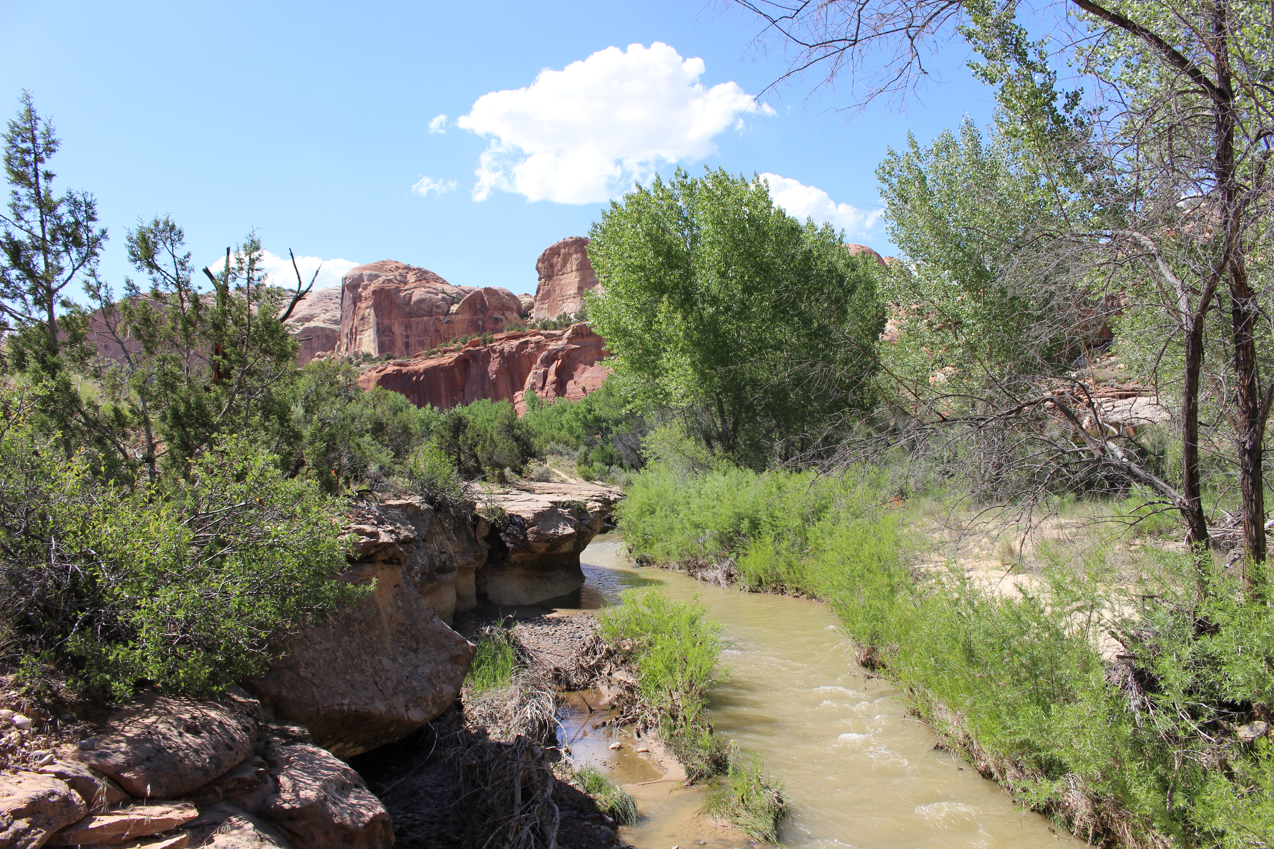 Escalante Natural Bridge 