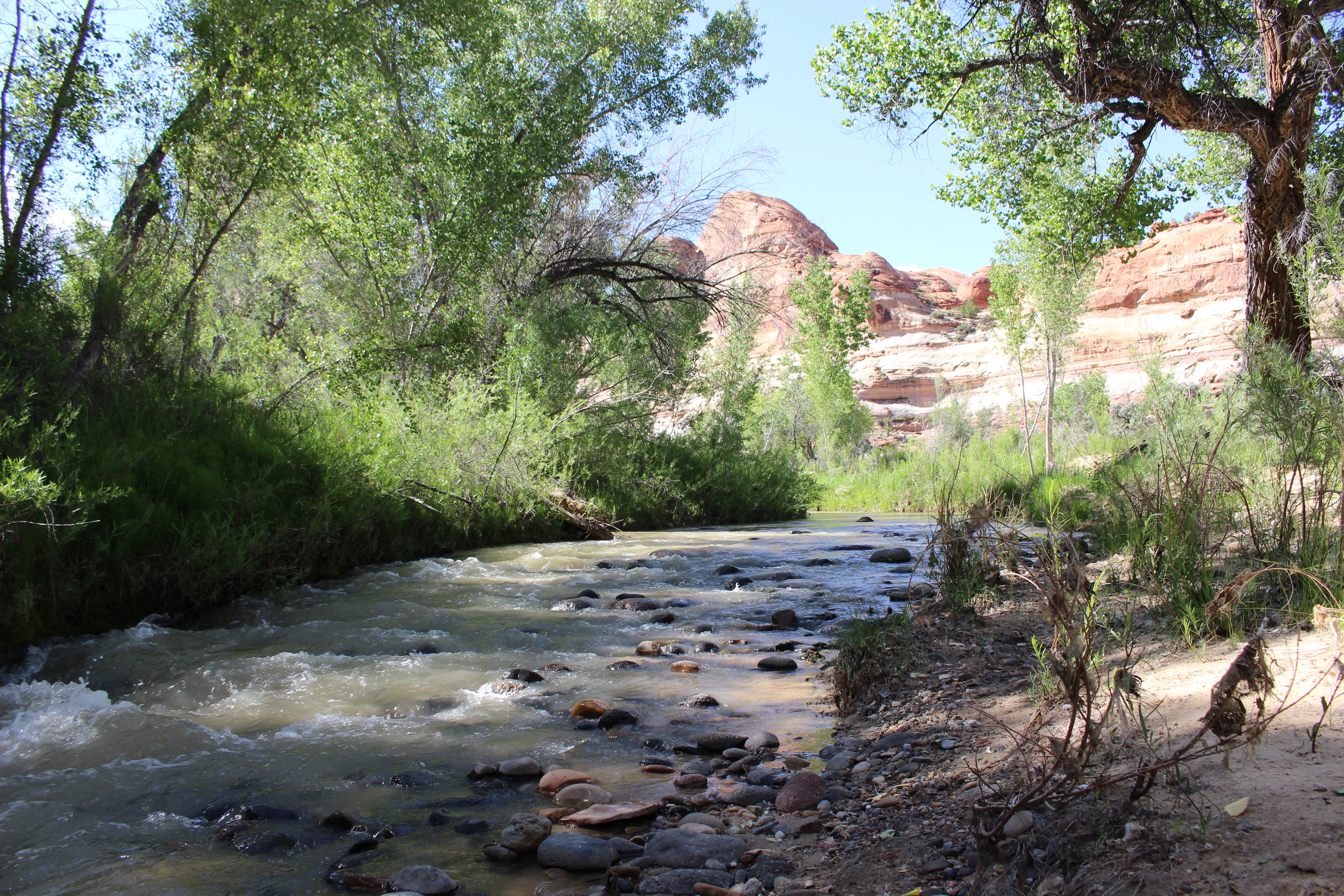 Escalante Natural Bridge 