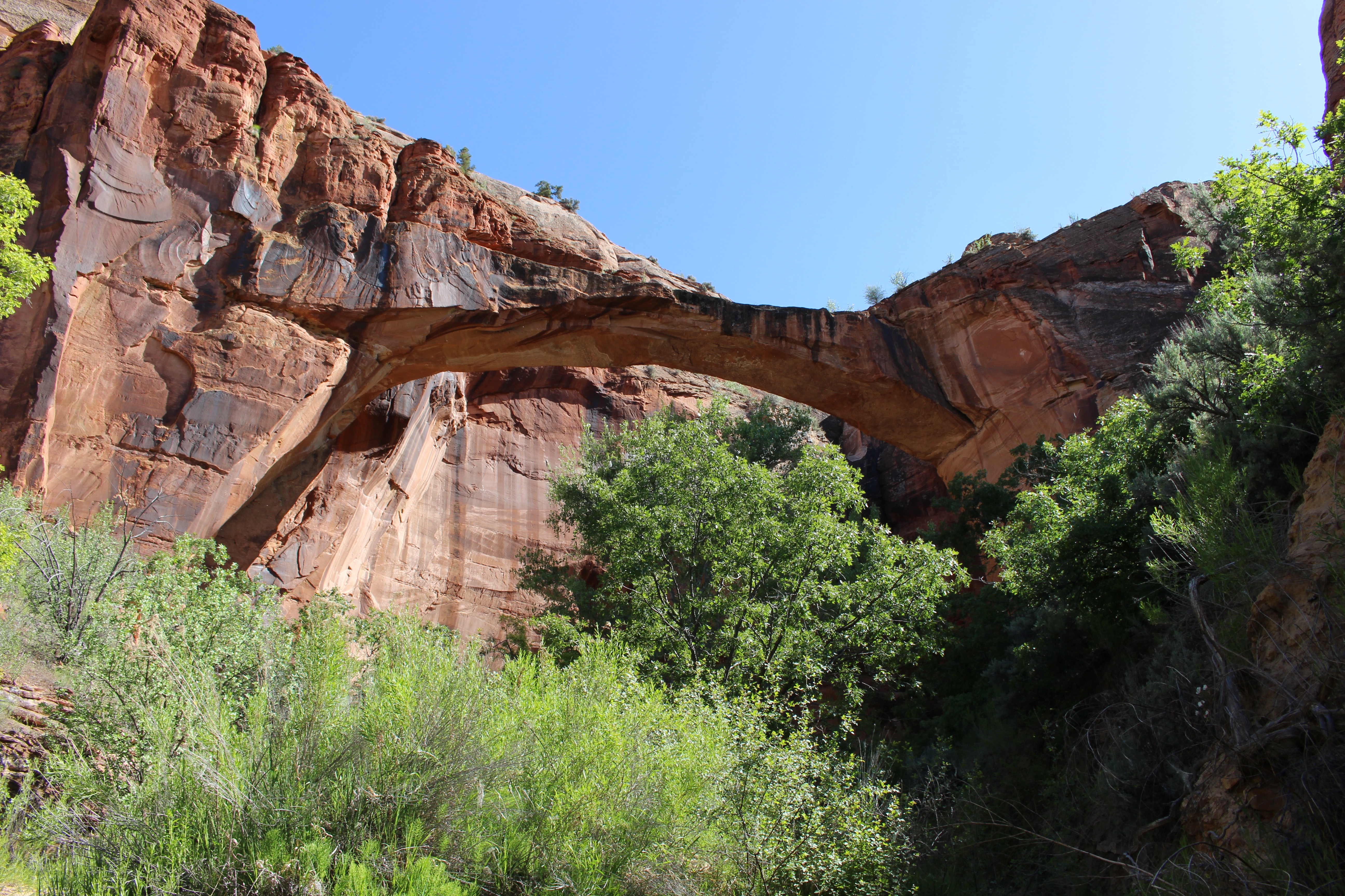 Escalante Natural Bridge 