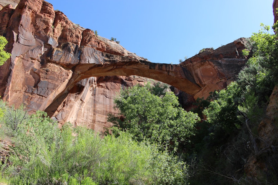 Hike to Escalante Natural Bridge , Escalante River Natural Bridge Trailhead
