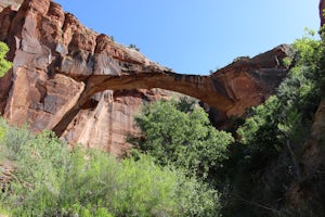 Hike to Escalante Natural Bridge 