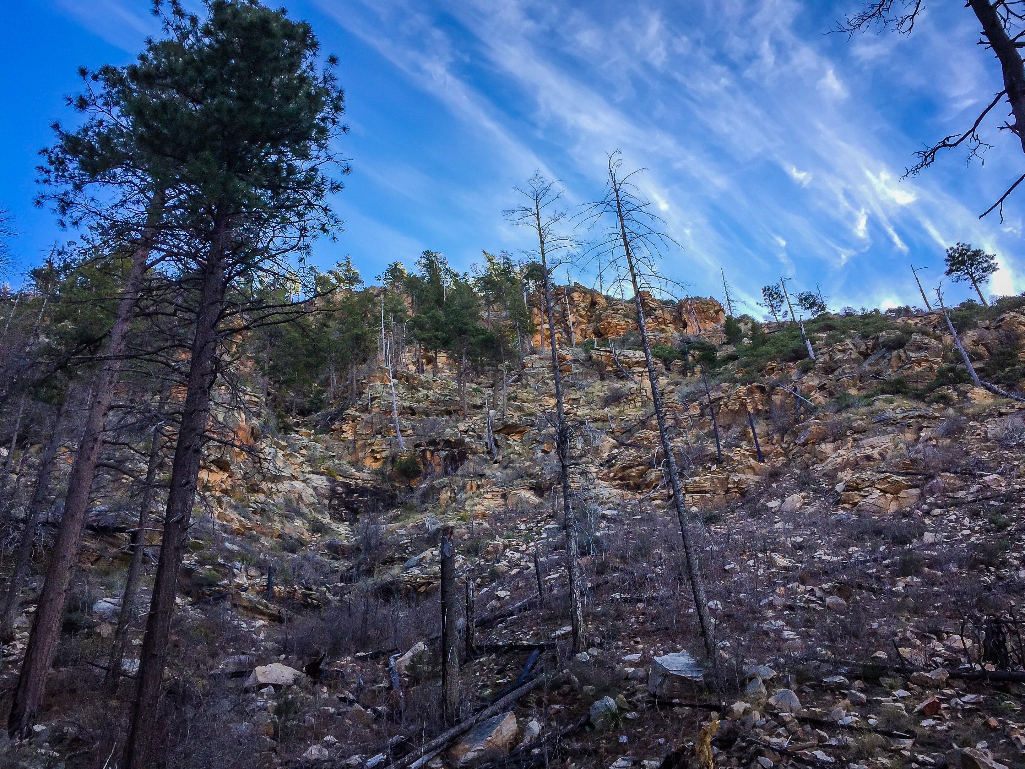 Hike to an old Railroad Tunnel!