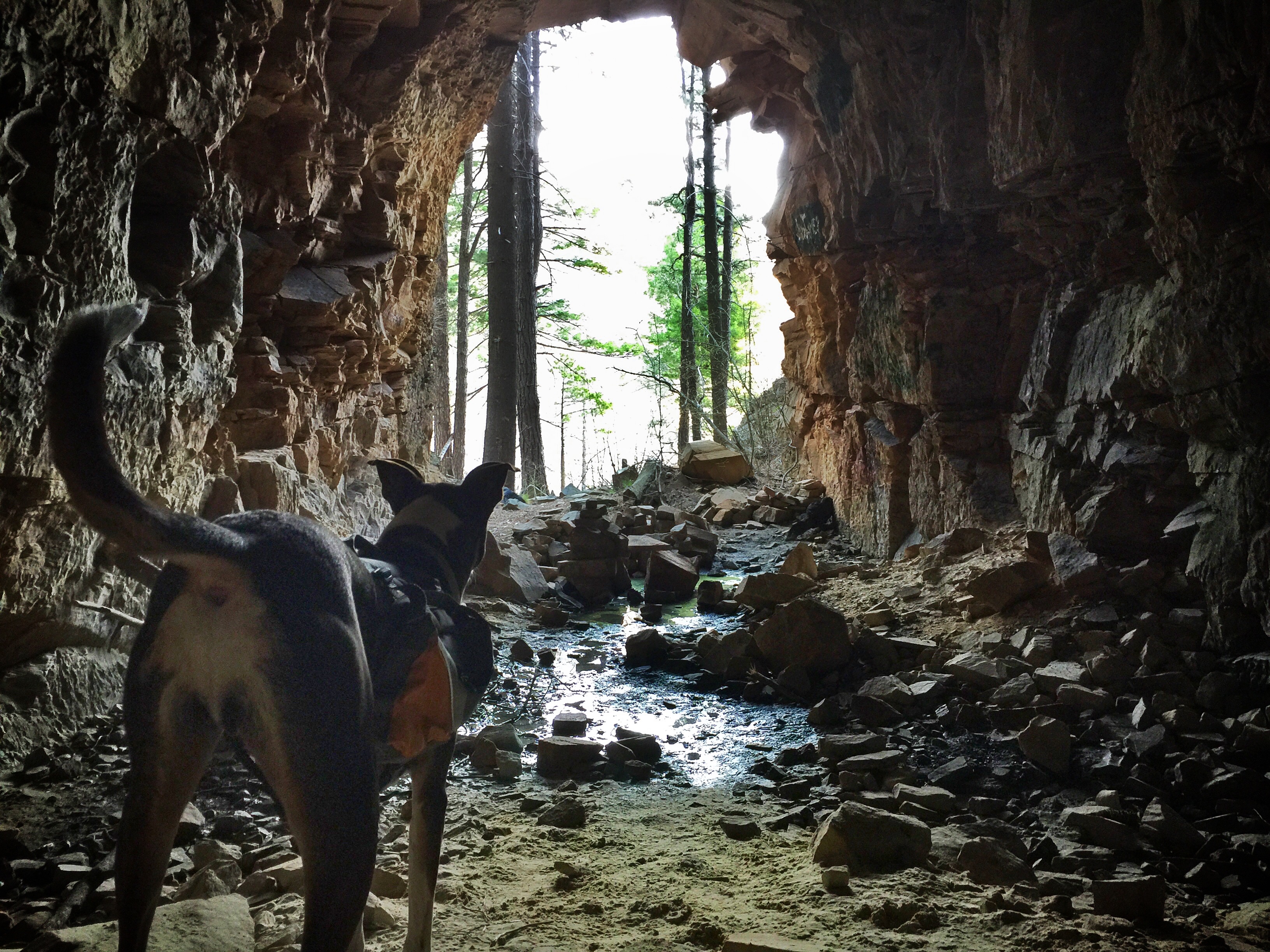 Hike to an old Railroad Tunnel!