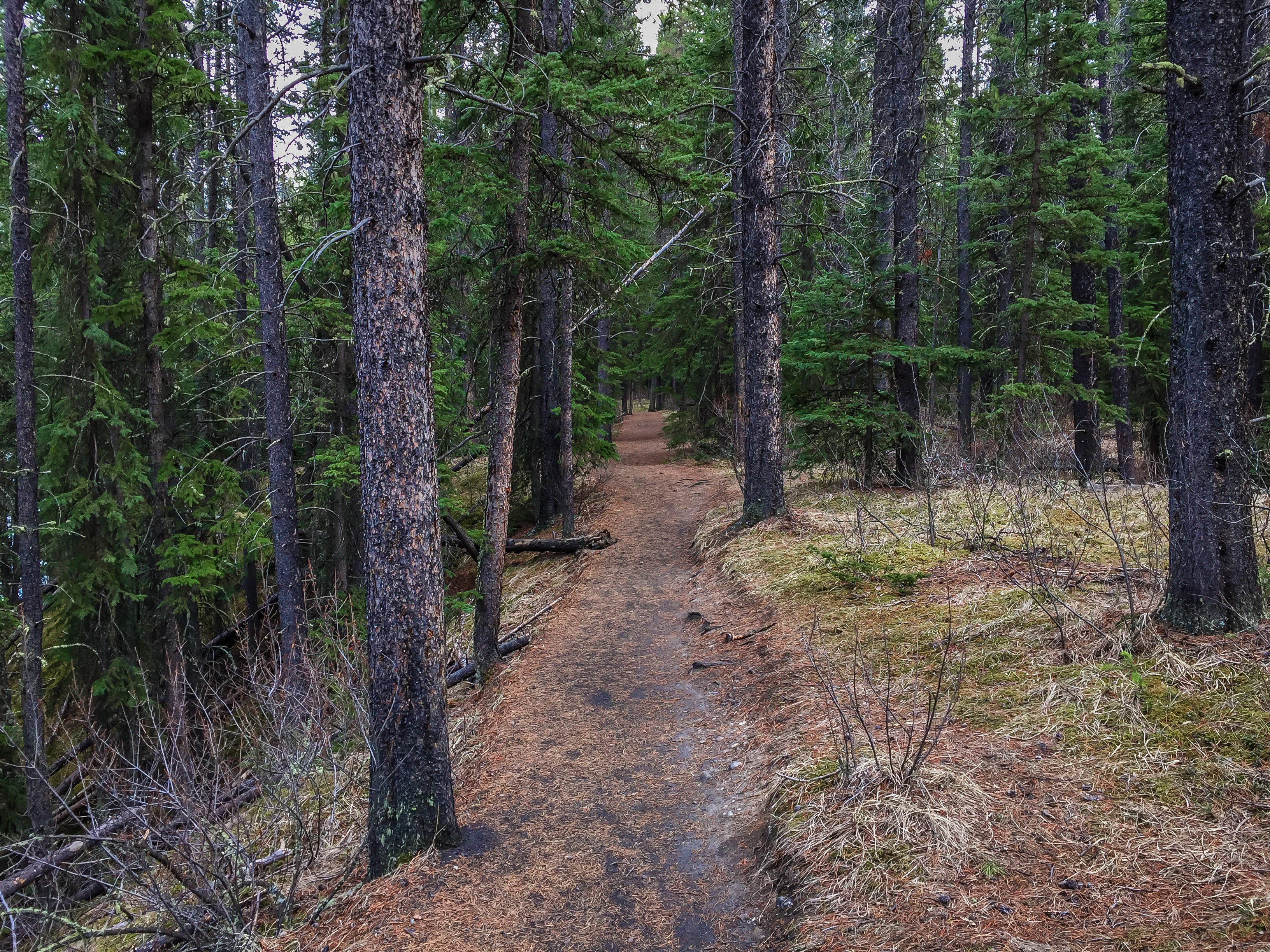 Hike to the Hermit of Inglismaldie