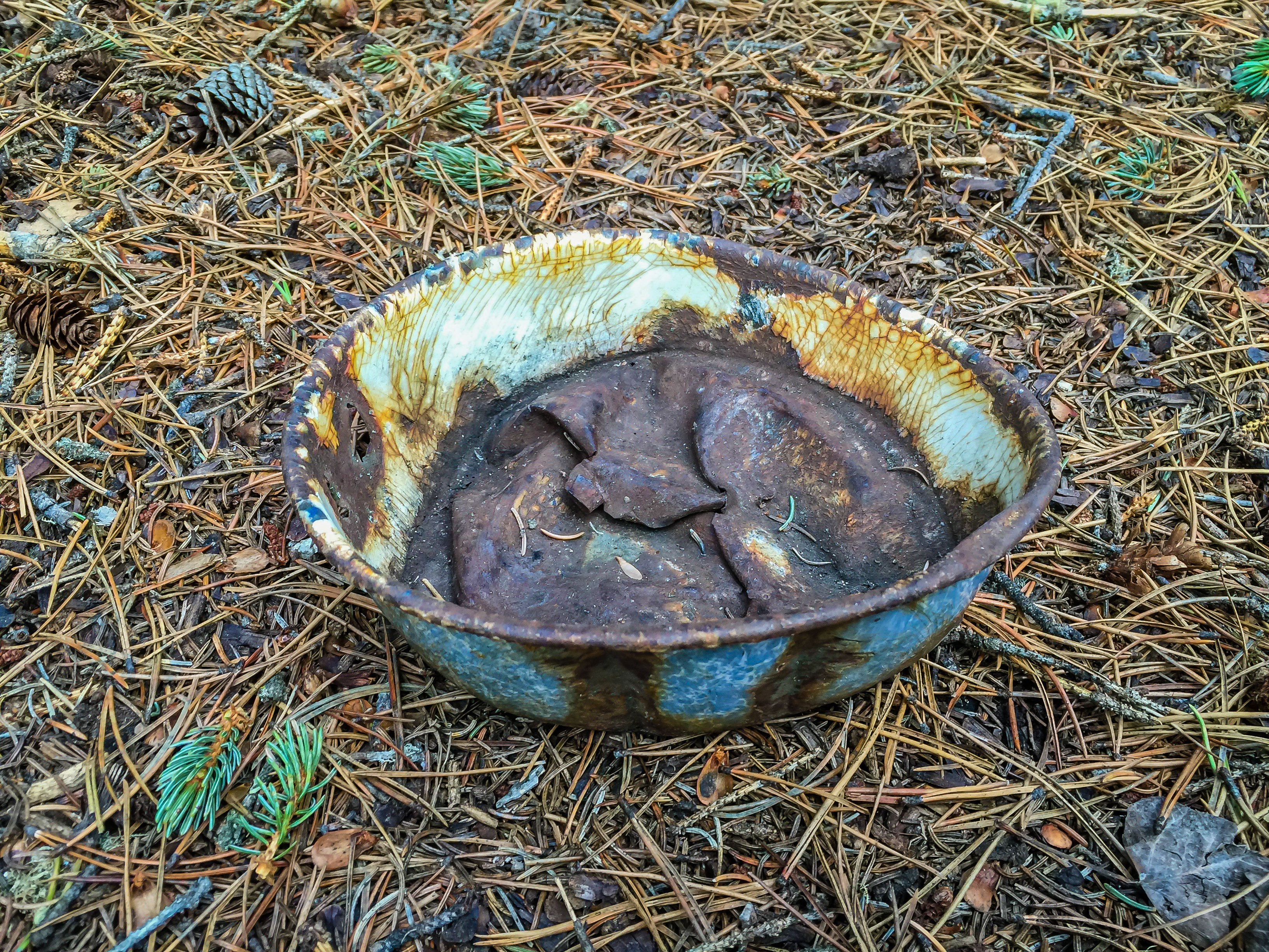 Hike to the Hermit of Inglismaldie