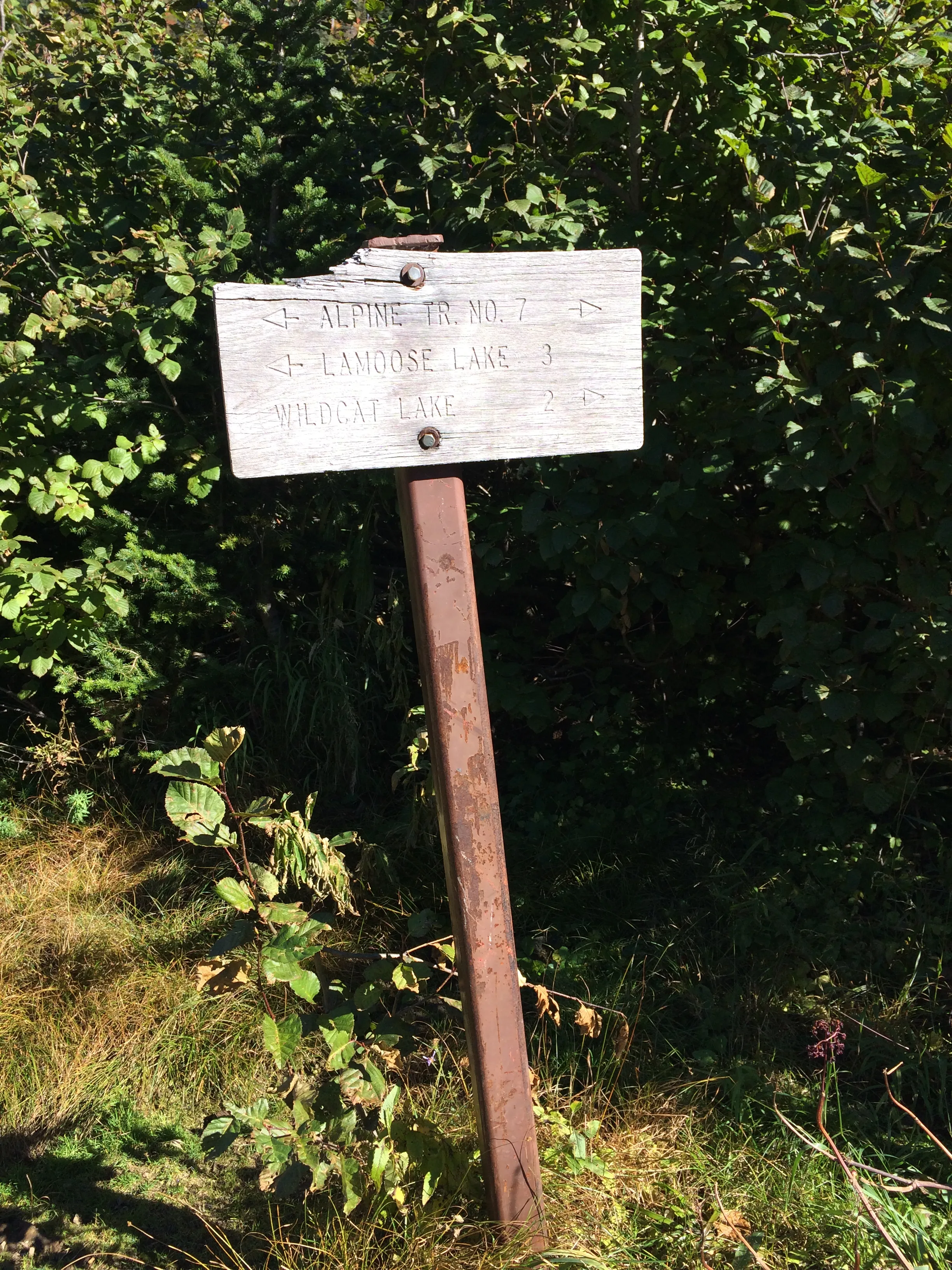Blaine Mountain via Doris Creek Trail