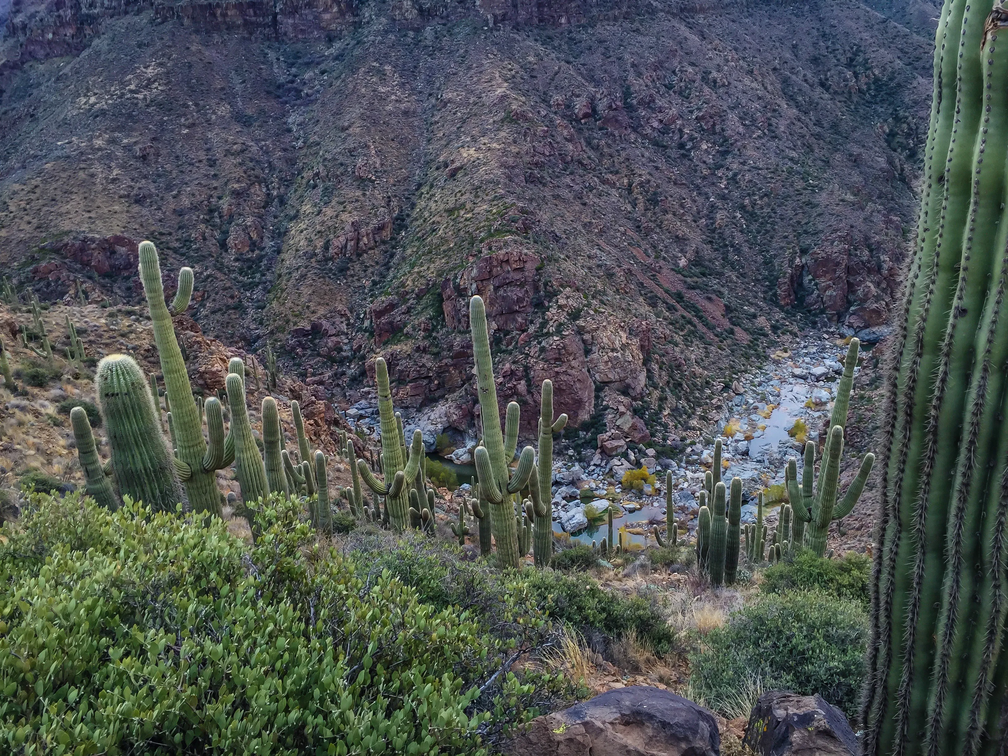 Richinbar Mine and Pueblo Trail