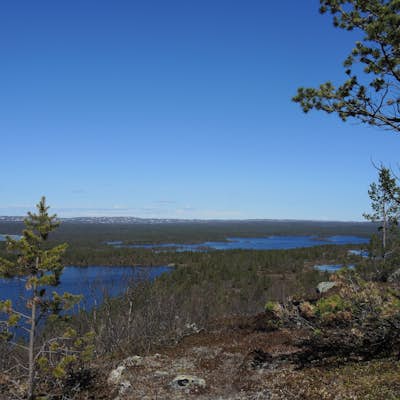 Hike the Nature Trail to Samettifjellet