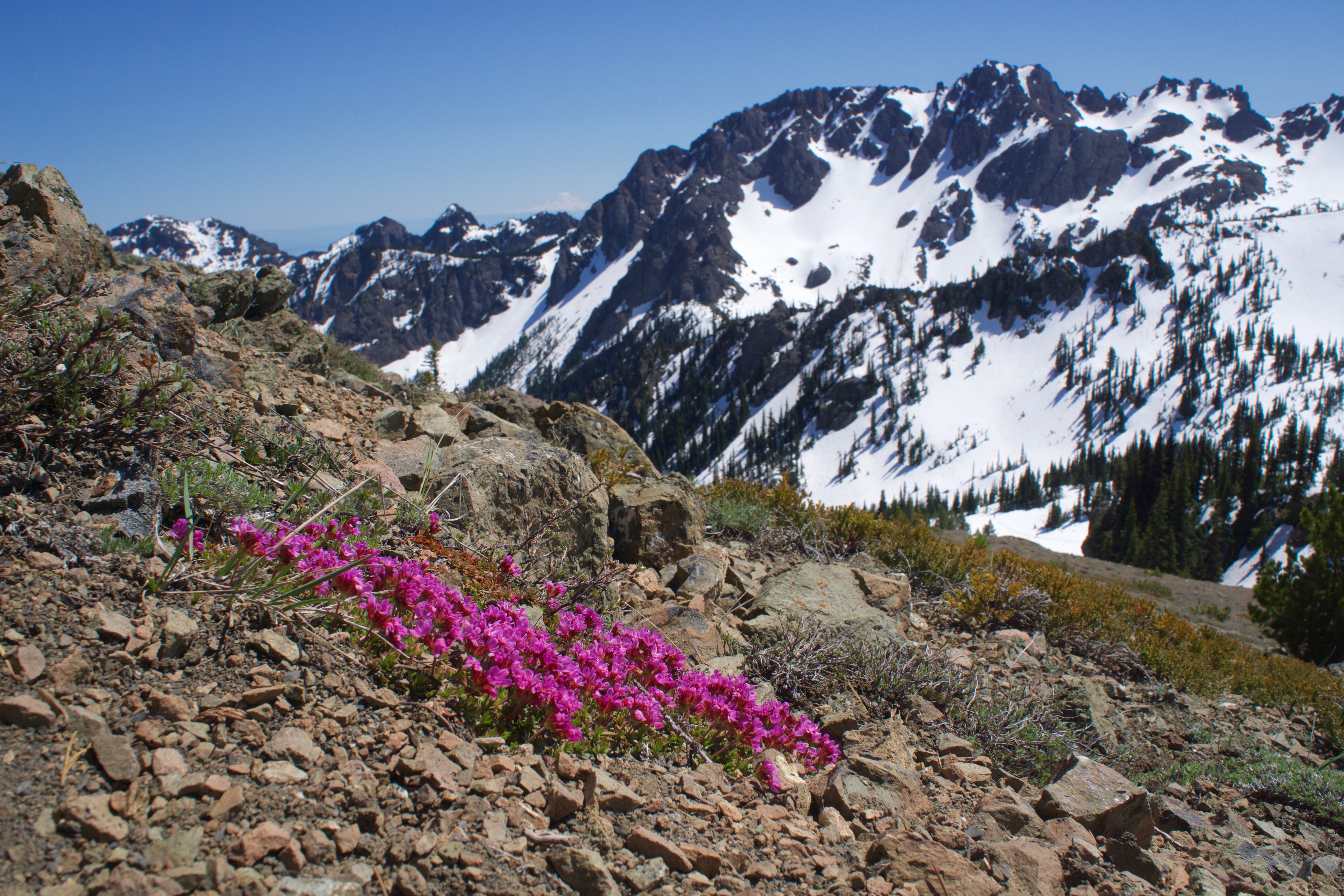 Buckhorn Mountain