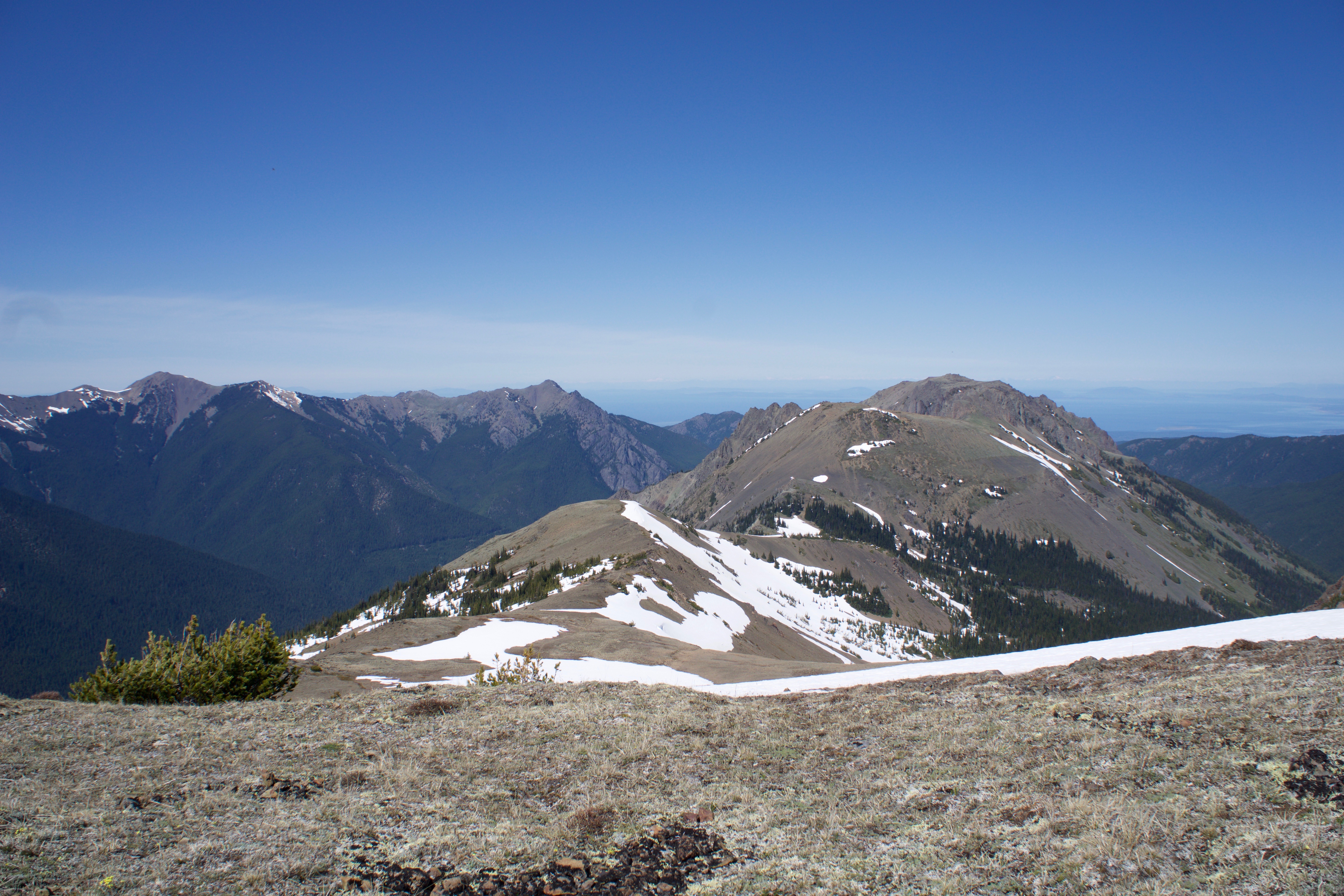 Buckhorn Mountain