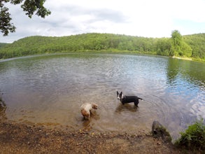 Camp at Sherando Lake