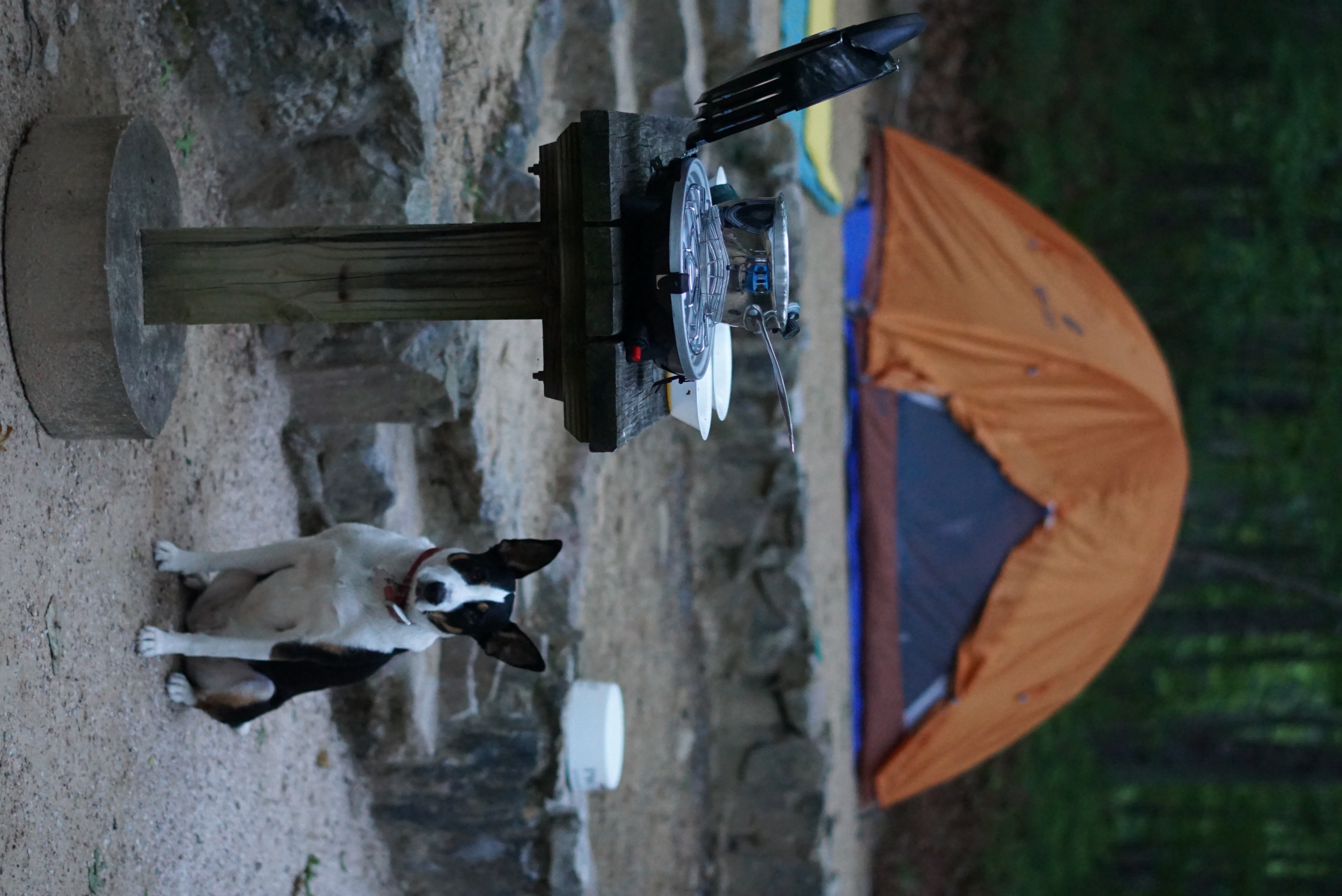 Camp at Sherando Lake