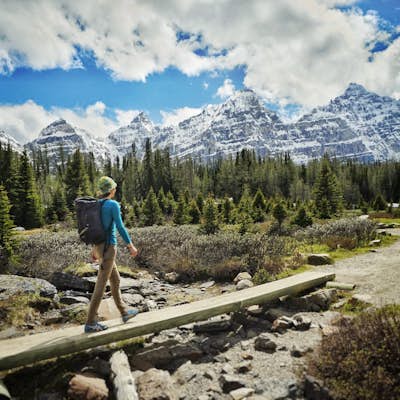 Hike Through Larch Valley to Sentinel Pass