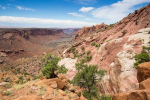 Syncline Loop in Canyonlands NP