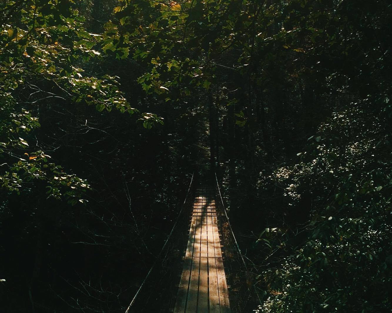 Savage Falls Trail