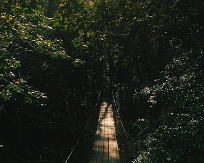 Hike to Savage Falls, Savage Gulf Ranger Station