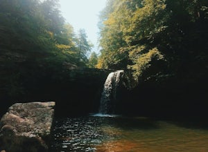 Savage Falls Trail