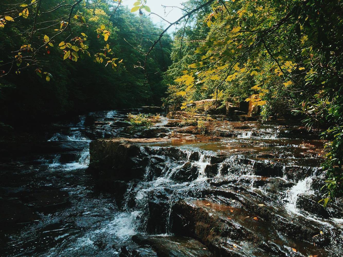 Savage Falls Trail