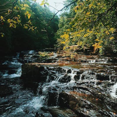 Savage Falls Trail