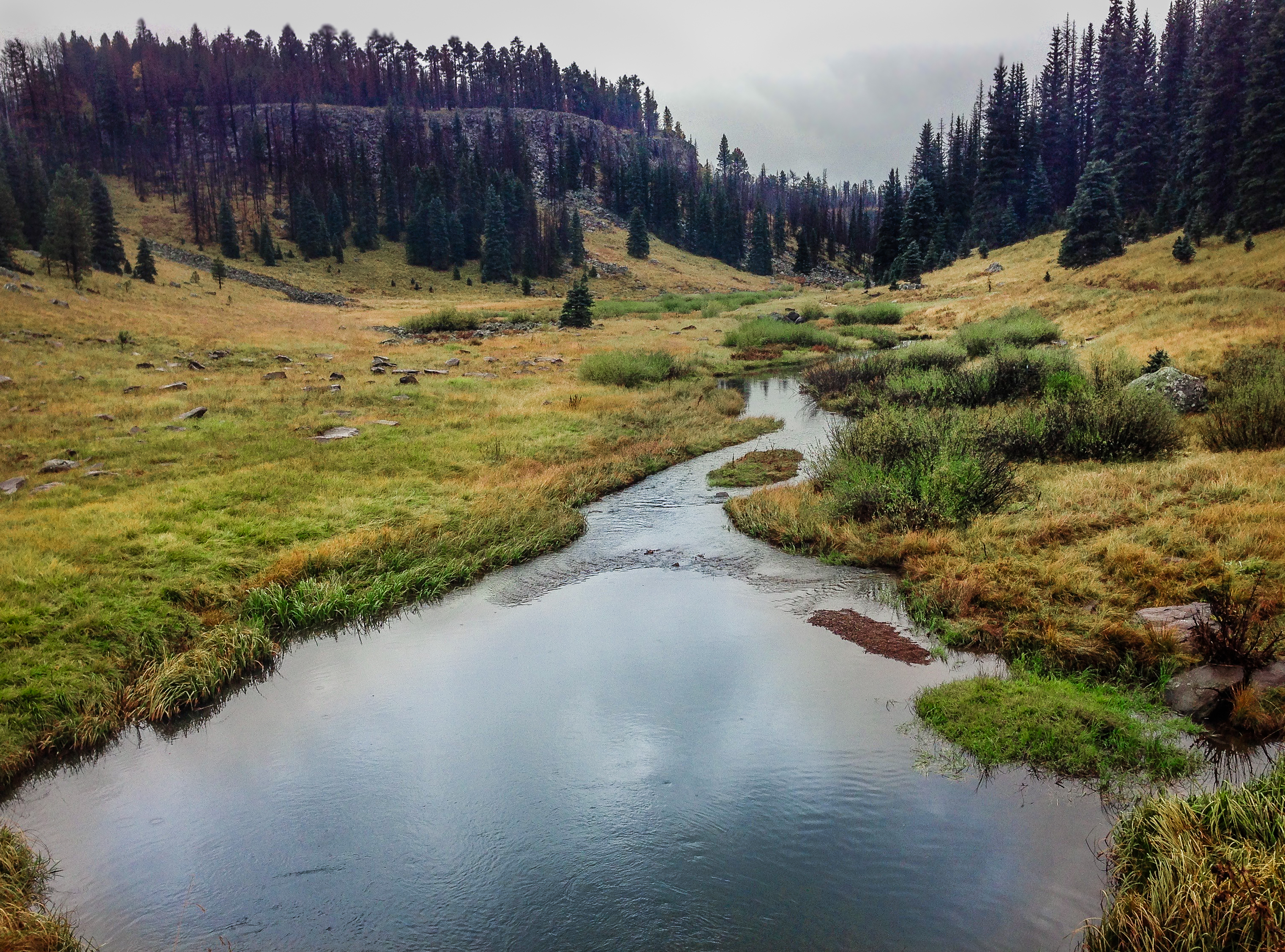 Hike the Thompson Trail 