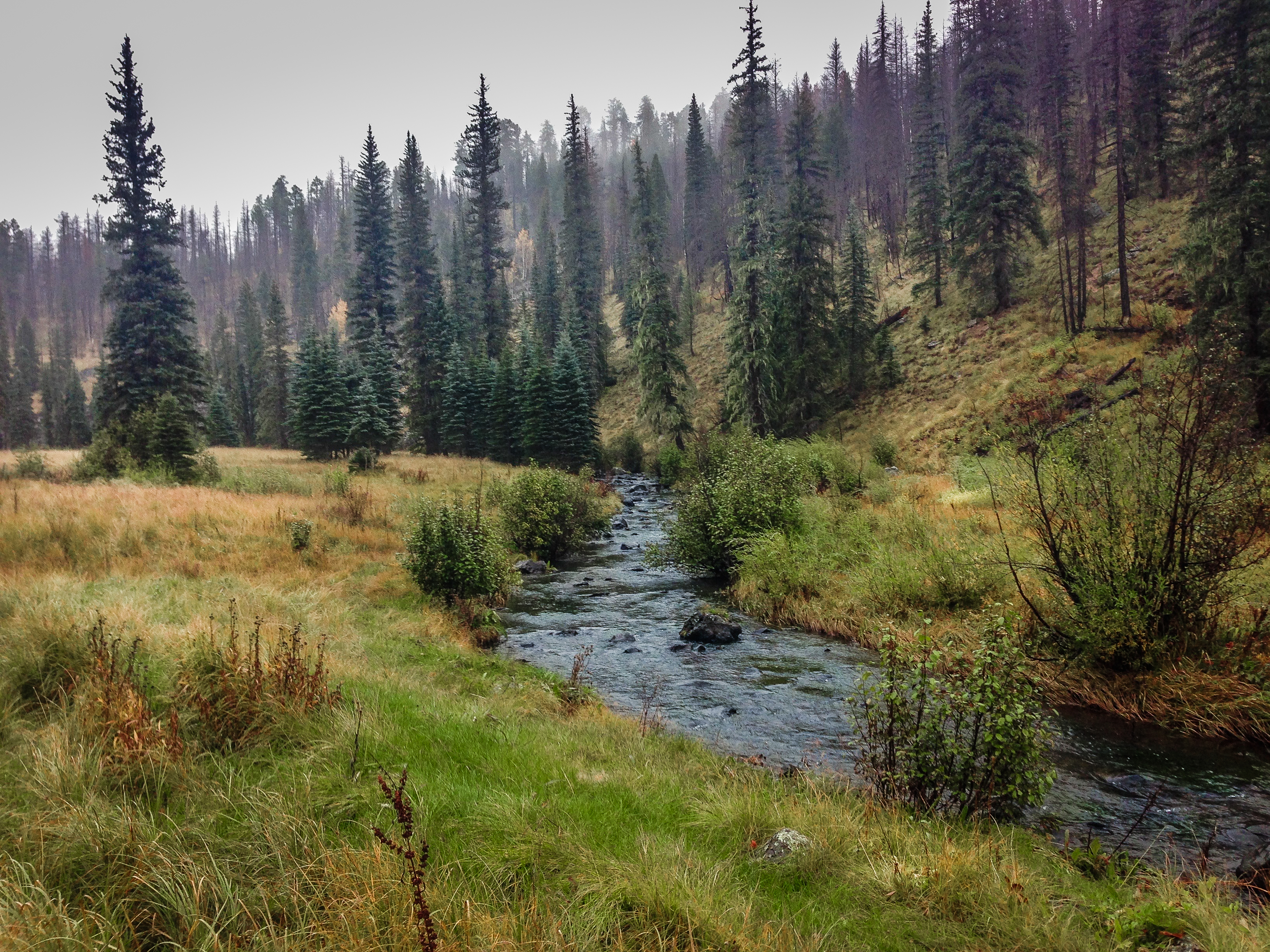 Hike the Thompson Trail 