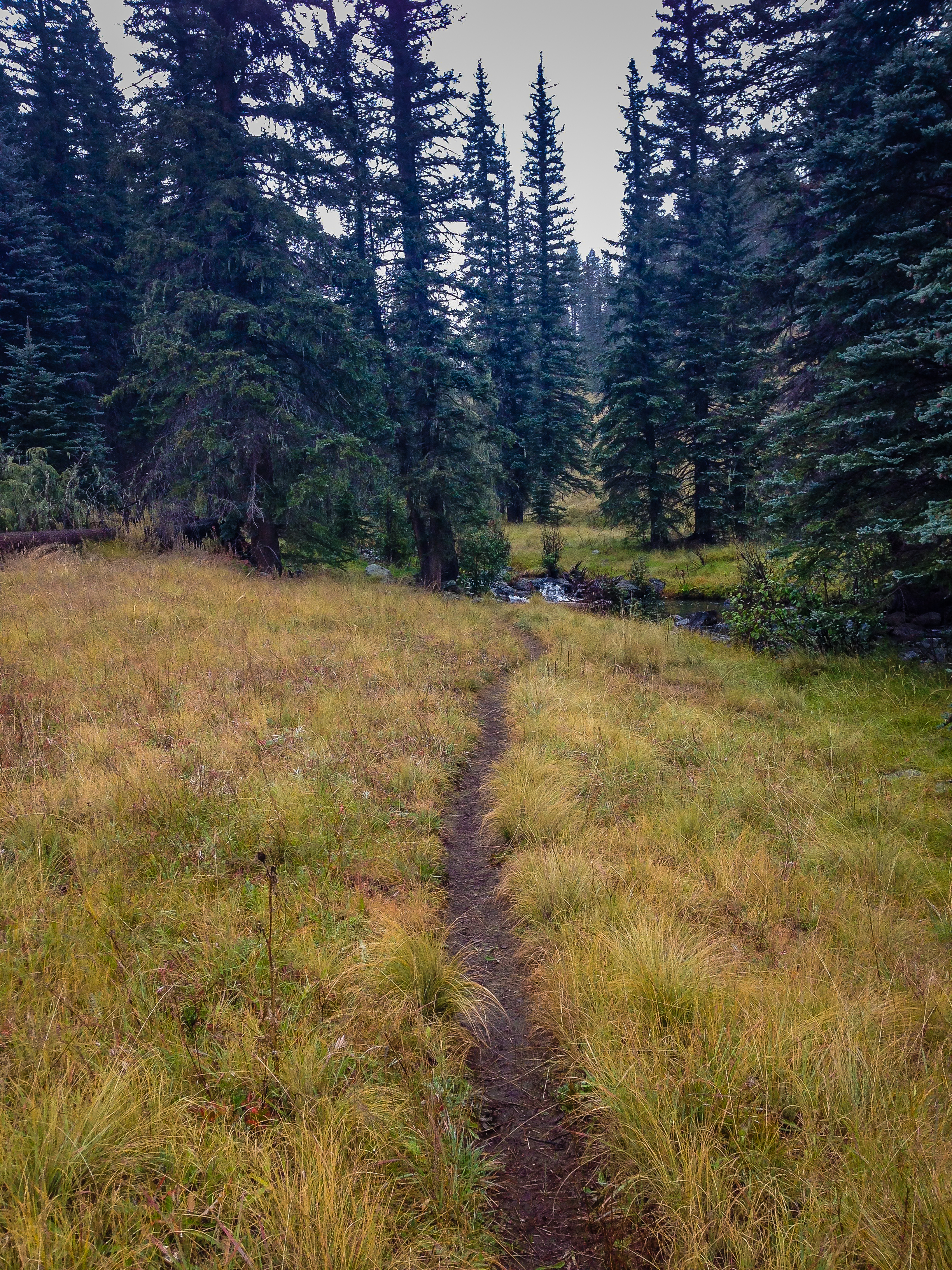 Hike the Thompson Trail 