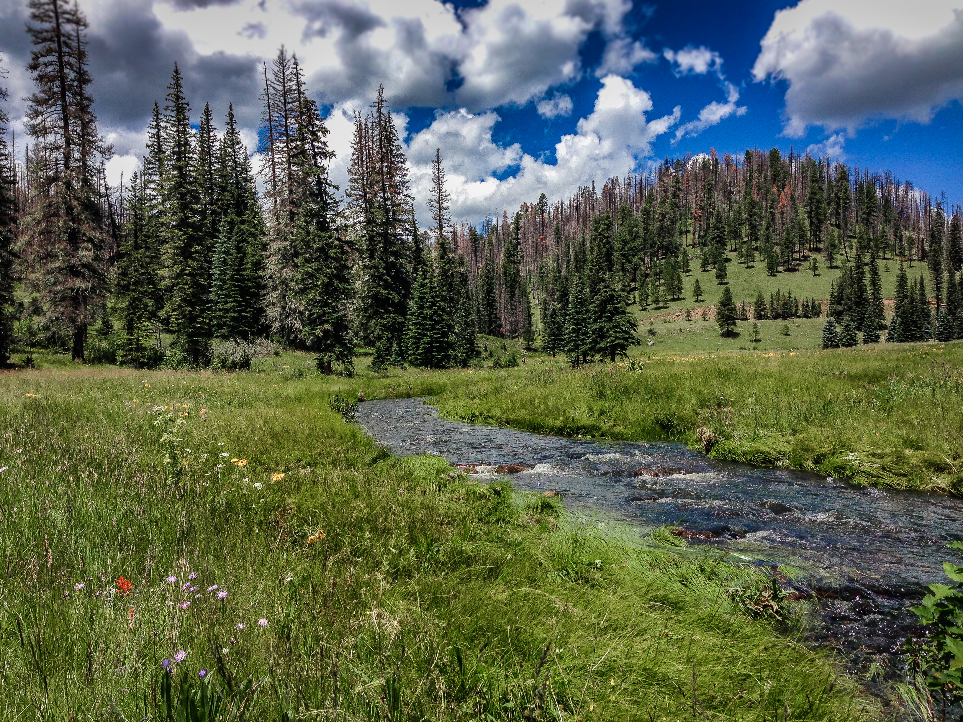 Hike the Thompson Trail 