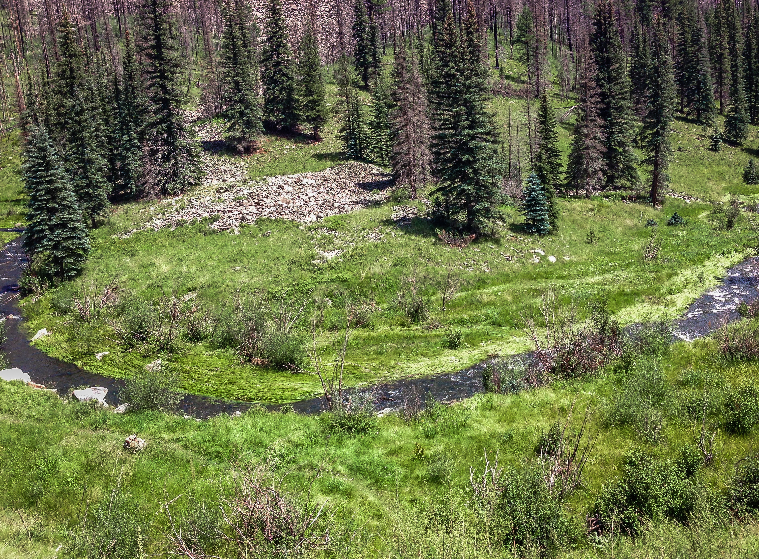 Hike the Thompson Trail 