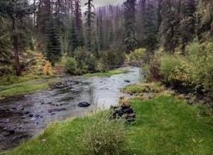 Hike the Thompson Trail 