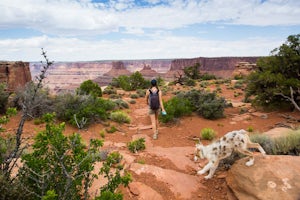 Hike the Big Horn Overlook Trail