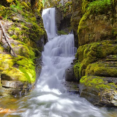Explore North Fork Little Creek Falls