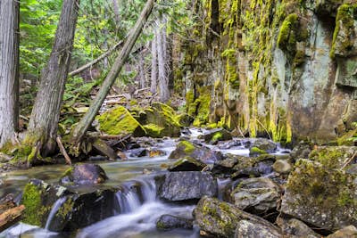 Explore North Fork Little Creek Falls