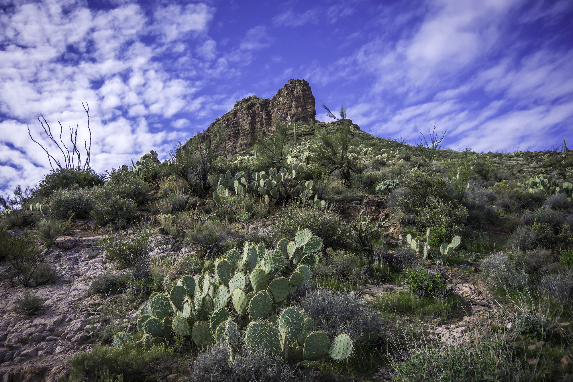 Elephant Mountain Fortress Hike
