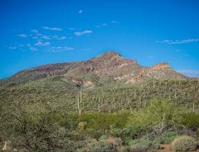 Elephant Mountain Fortress Hike