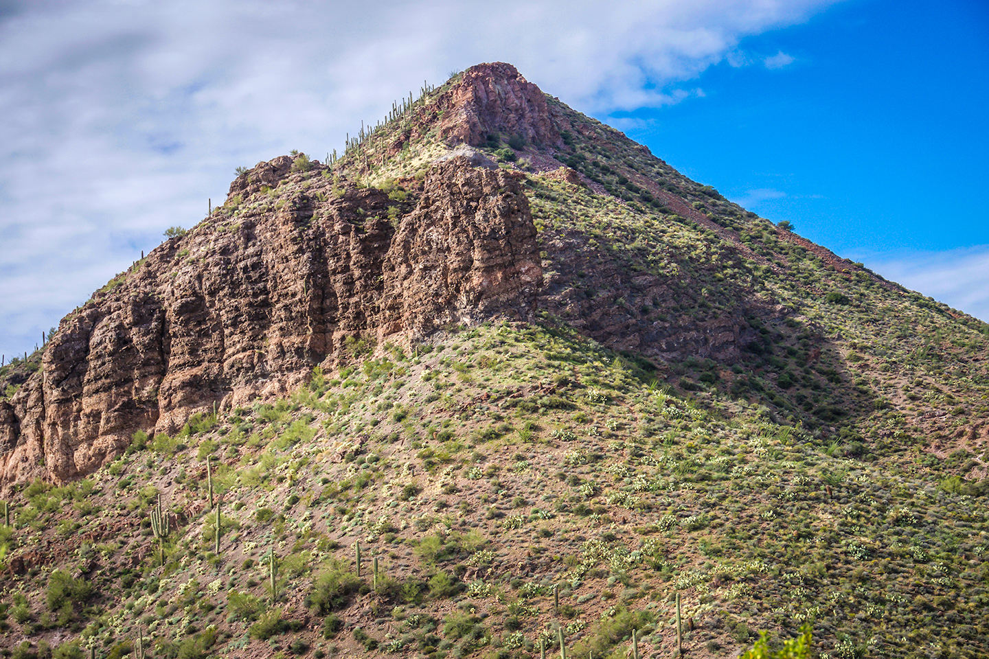 Elephant Mountain Fortress Hike